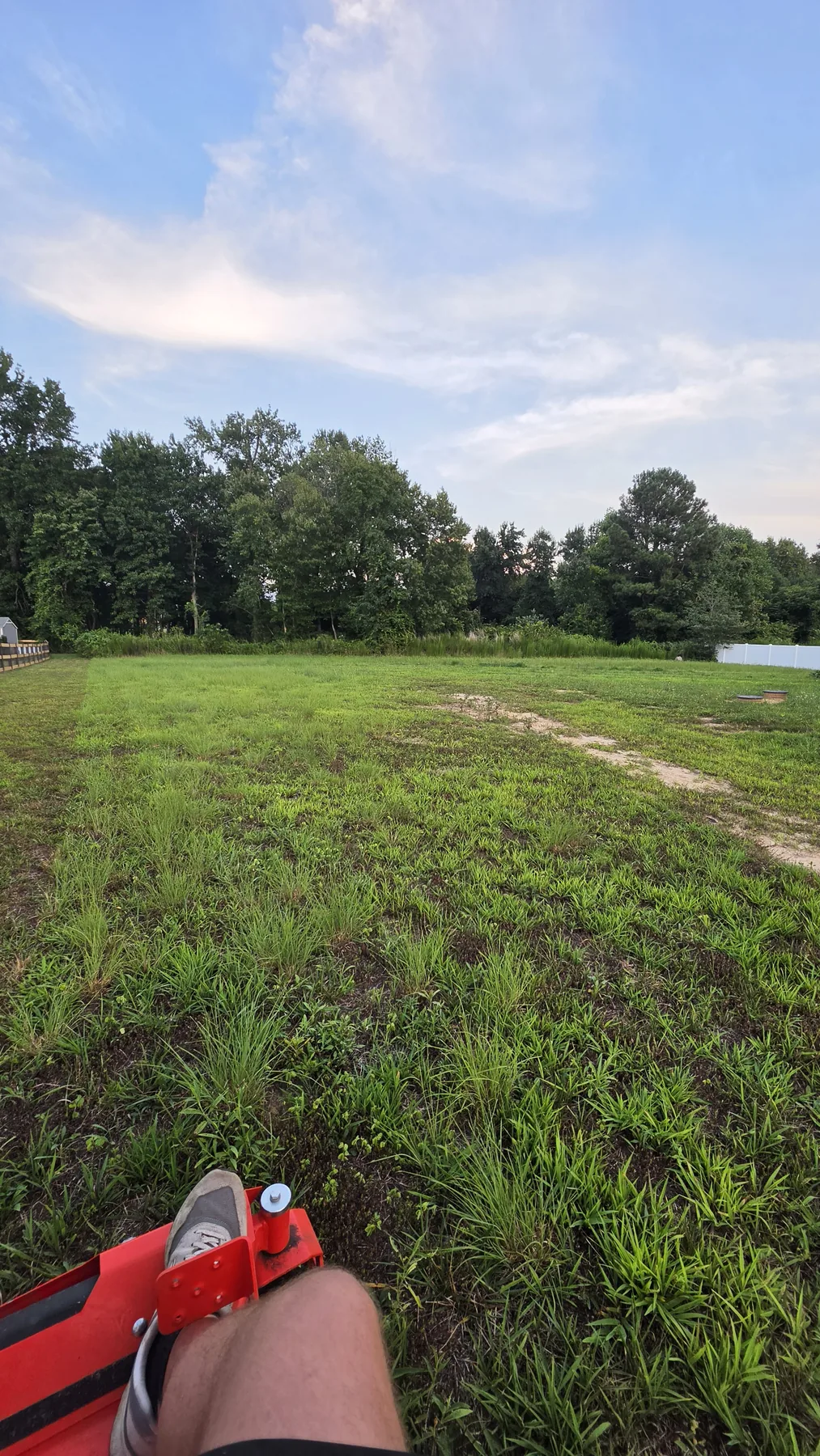 Yard area before NYP cleanup work
